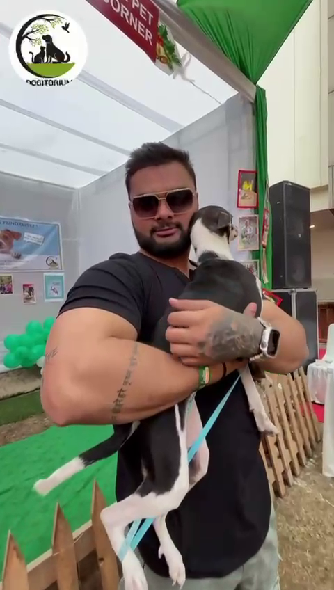 Awareness Drive for Stray Animals