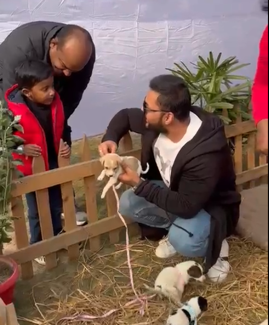 Video: Adoptions Moments